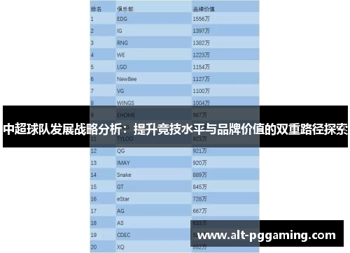 中超球队发展战略分析：提升竞技水平与品牌价值的双重路径探索