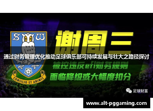 通过财务管理优化推动足球俱乐部可持续发展与壮大之路径探讨