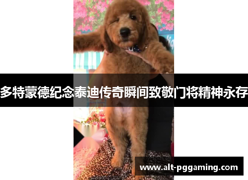 多特蒙德纪念泰迪传奇瞬间致敬门将精神永存
