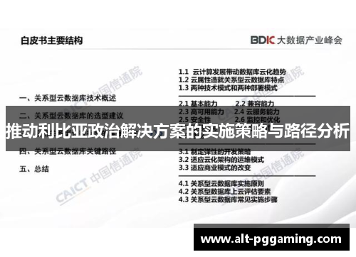 推动利比亚政治解决方案的实施策略与路径分析