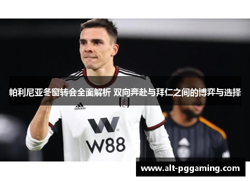 帕利尼亚冬窗转会全面解析 双向奔赴与拜仁之间的博弈与选择