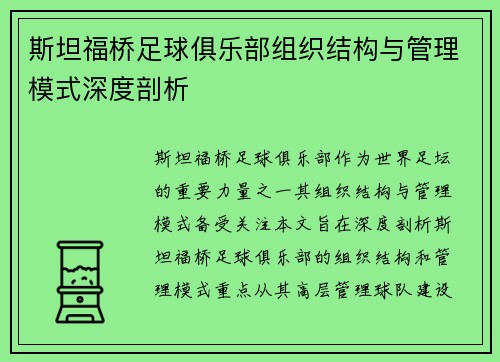 斯坦福桥足球俱乐部组织结构与管理模式深度剖析